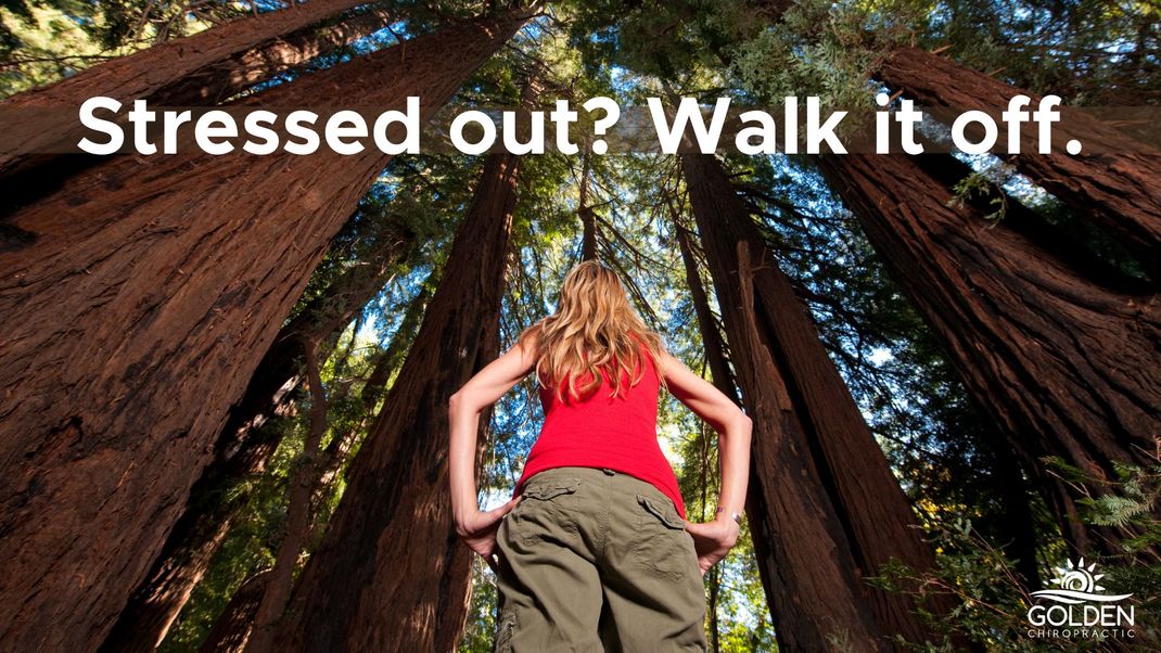 blond woman staring up at a circle of Redwood Trees